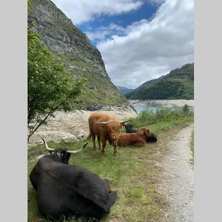 Neben Therme Fuer 2 Erwachsene Neu Renoviert דירה