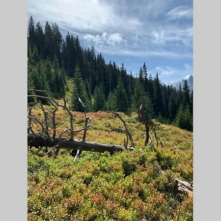 Neben Therme Fuer 2 Erwachsene Neu Renoviert ולס