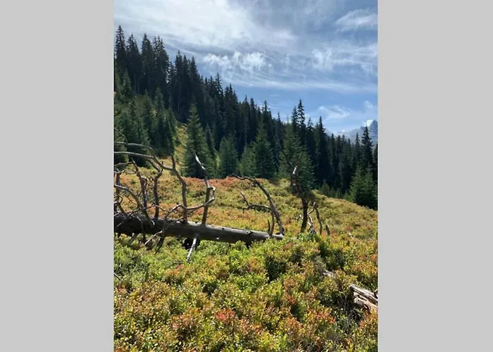 Neben Therme Fuer 2 Erwachsene Neu Renoviert Vals